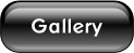 Gallery.