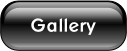 Gallery.